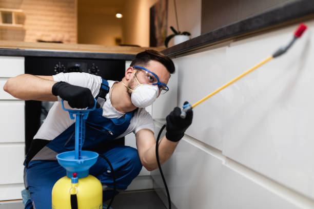 Best Pest Prevention Services  in Molalla, OR