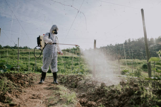 Best Mosquito Control Services  in Molalla, OR