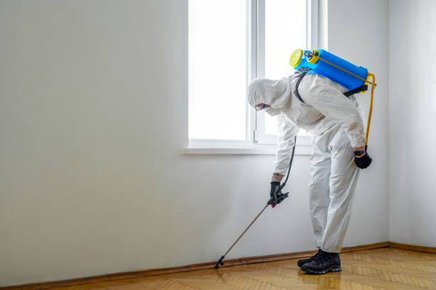 Best Pest Prevention Services  in Molalla, OR