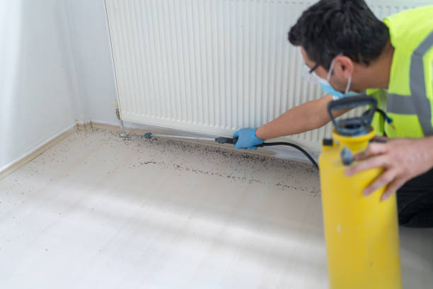 Best Commercial Pest Control Services  in Molalla, OR